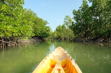 Passeio de caiaque pelo manguezal de Langkawi